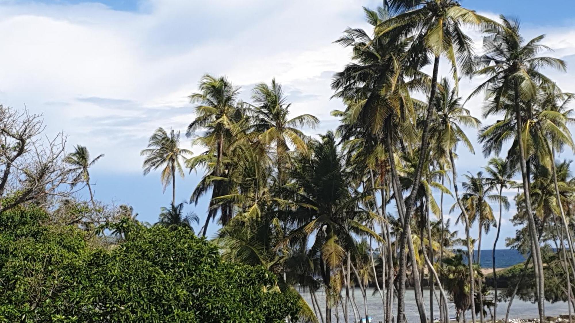 Marijani Holiday Resort Watamu Exterior photo